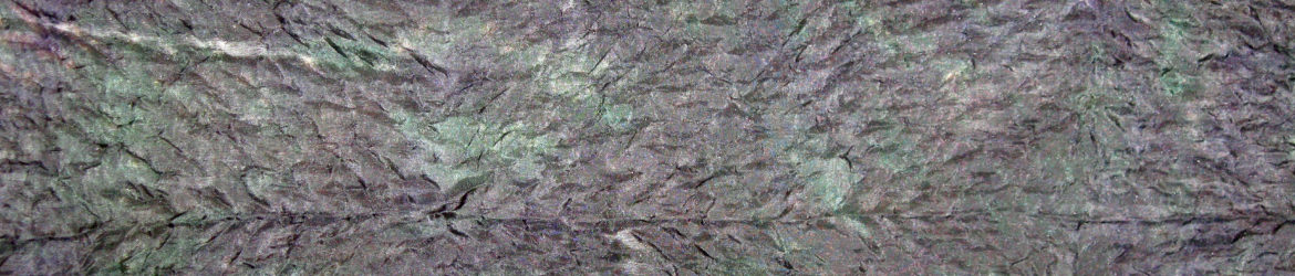Detail image of lightly textured black and green silk shibori scarf by Maureen Jakubson