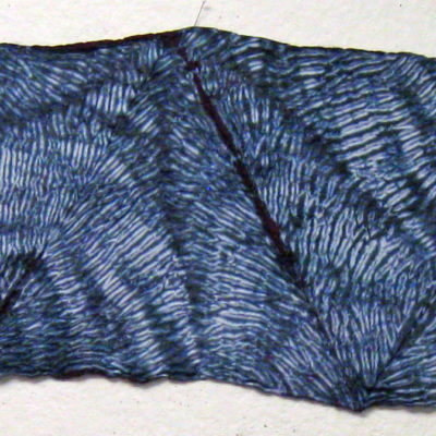 Full Length of Textured Mulberry Silk Shibori Scarf by Maureen Jakubson